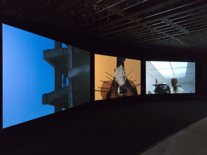 <p>Emre Hüner, <i>Neochronophobiq</i>, installation Protocinema, New York, 2017, courtesy Rodeo, London, photo: John Berens.</p>