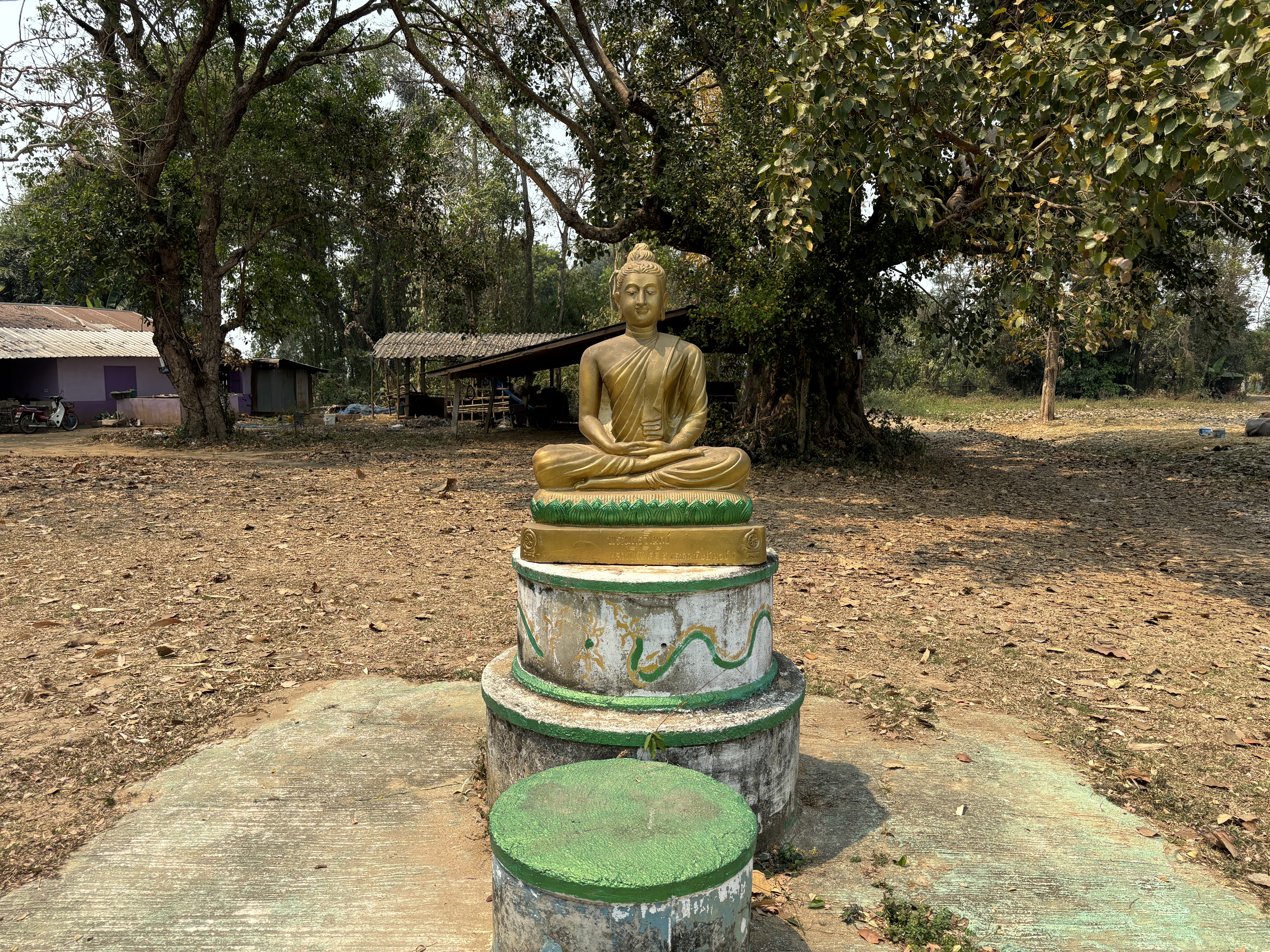 Buddha Vimokkha Images (facing east)